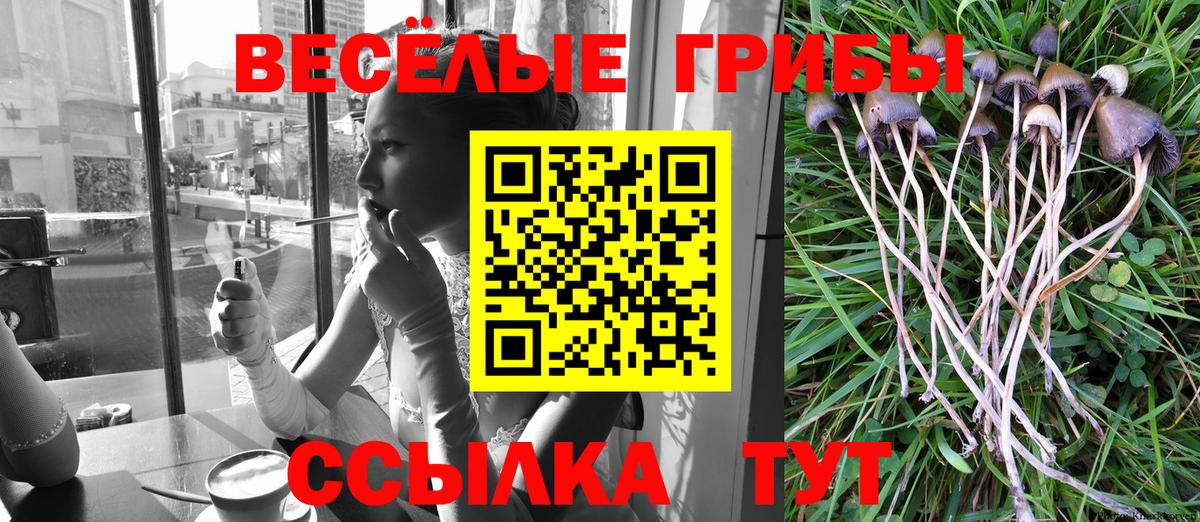 Псилоцибиновые грибы Cubensis Коряжма