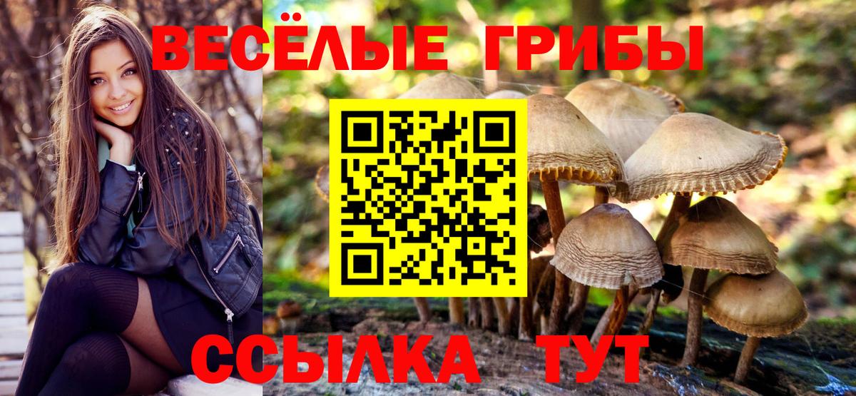 Псилоцибиновые грибы GOLDEN TEACHER  Вход с VPN  Коряжма 