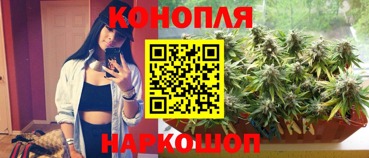 Коряжма  Каннабис план  Вход с VPN  Шишки марихуана семена 